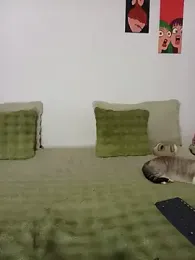 hell_Bonney yayın görüntüsü