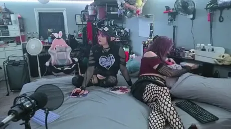 PolyCircus yayın görüntüsü