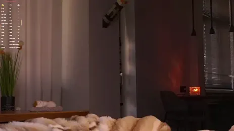 EdlinAlliston yayın görüntüsü